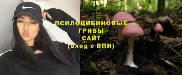 бошки Беломорск