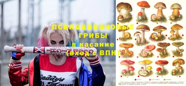 бошки Беломорск